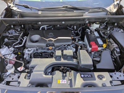 2022 Toyota RAV4 LE AWD (Natl)