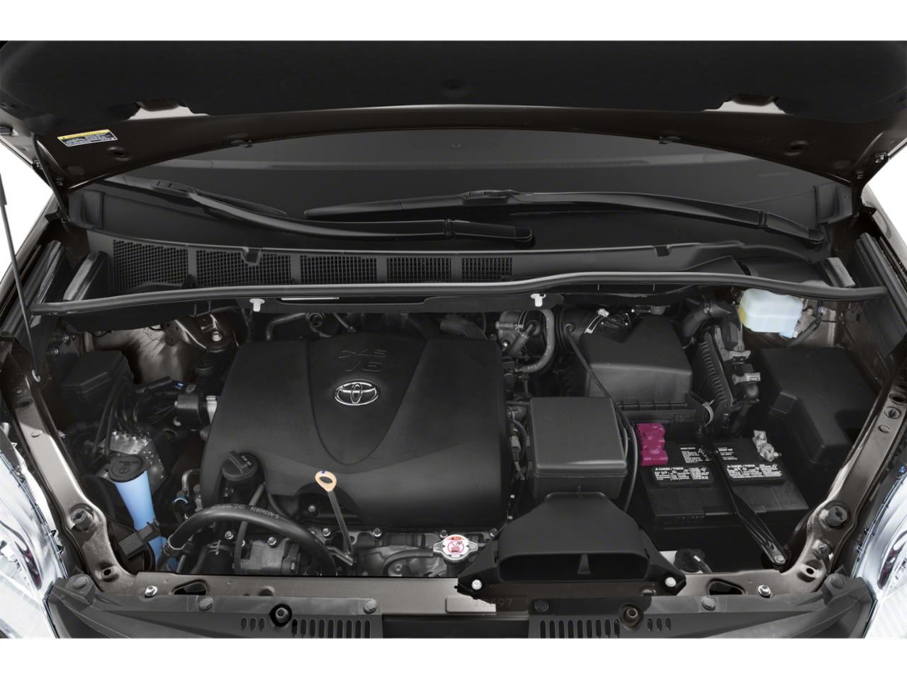 2019 Toyota Sienna LE FWD 8-Passenger (Natl)