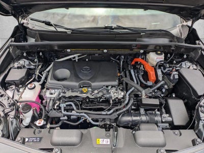 2024 Toyota Venza Nightshade AWD (Natl)