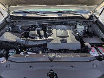2019 Toyota 4Runner SR5 Premium 4WD (Natl)