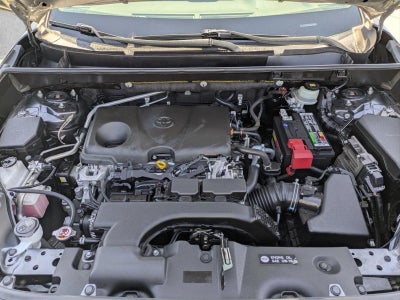 2019 Toyota RAV4 XLE FWD (GS)